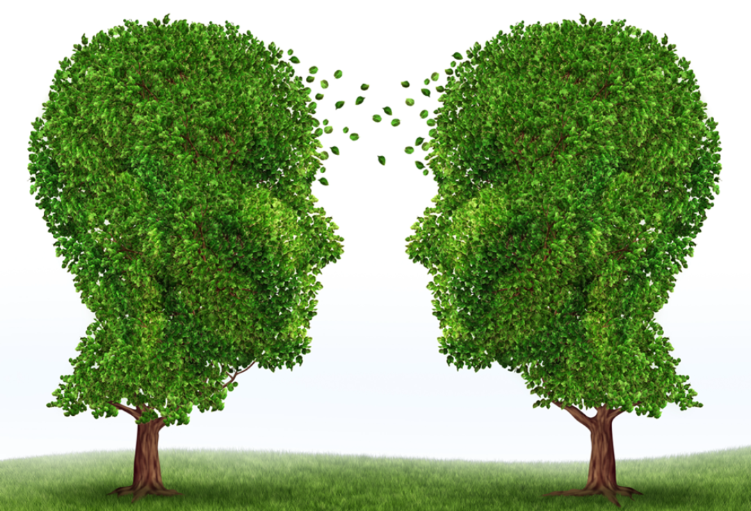 Two trees shaped like human faces in profile face each other. Leavers appear to be blowing and moving between the two.